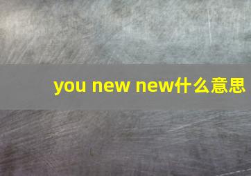 you new new什么意思